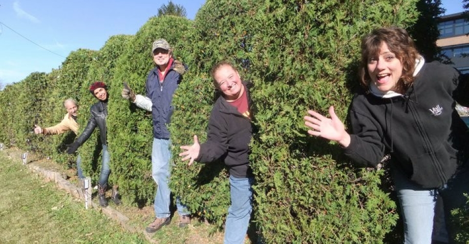 150281_155033474539462_1334054_n