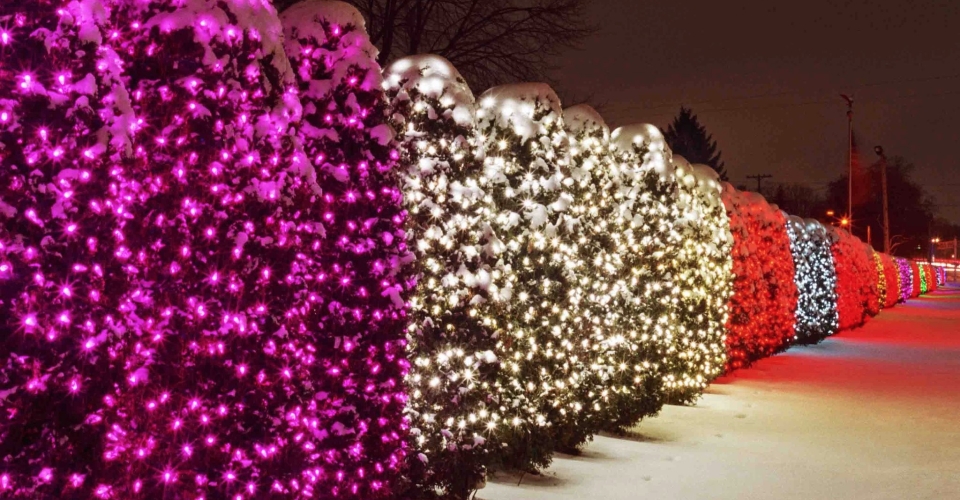 331344_273417706034371_1742166944_o